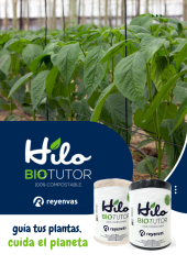 FLYER BIOTUTOR.png