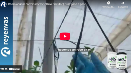 BIOTUTOR.png